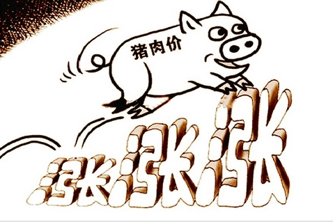 2019年豬氣沖天，價(jià)格還會(huì)一直漲下去嗎？